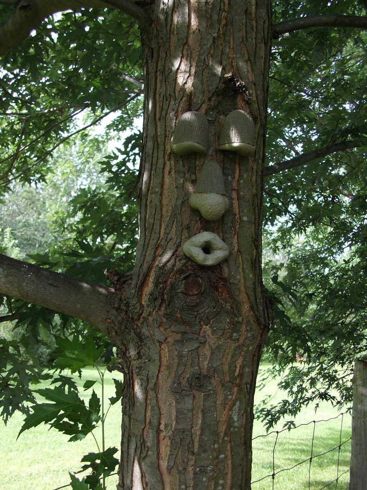 [DSCF1908.JPG]