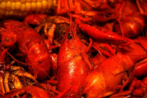 Crawfish+boil+clip+art+free