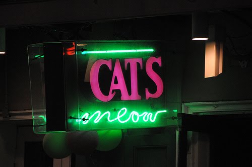 meow or never jazz taylor meow or never jazz taylor