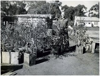 Alex Wilkie 1952