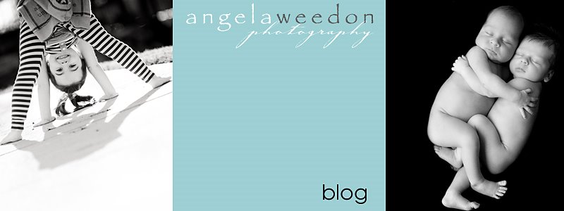 angela weedon photography the blog