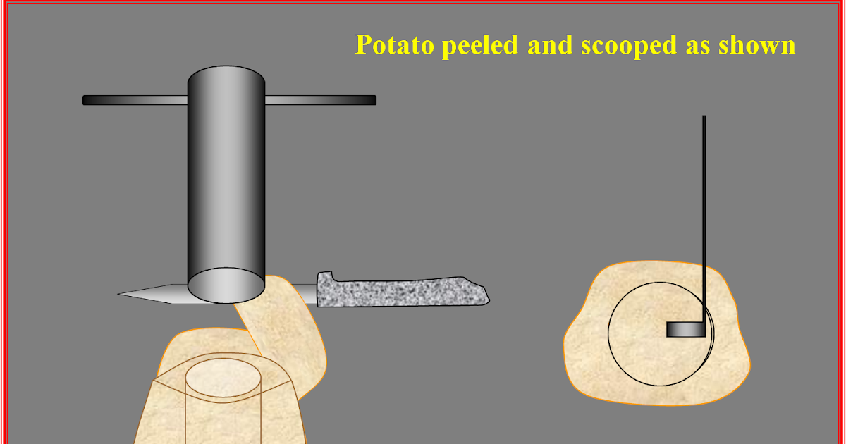 Biology for standard 12 Osmosis