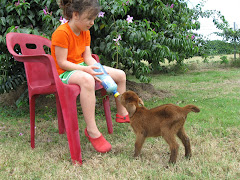 Ava feeding Peanut