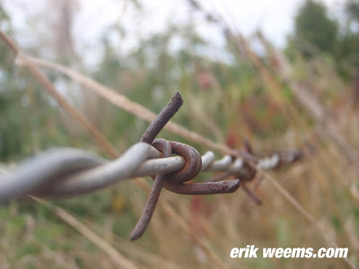 Barb Wire