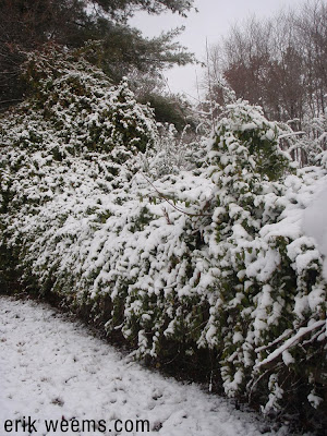 SNowing in Chesterfield County VA