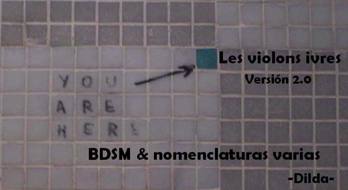 -Les Violons Ivres-