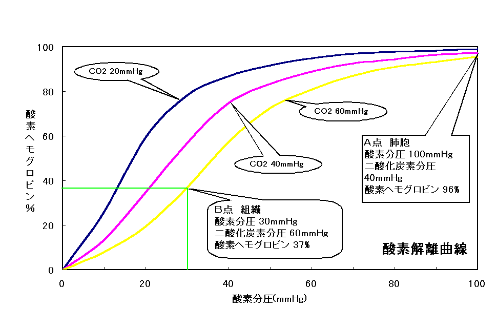 肺胞気酸素分圧