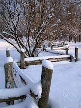 The Snow Piles Up