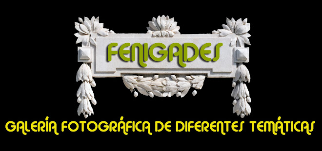 FENIGADES