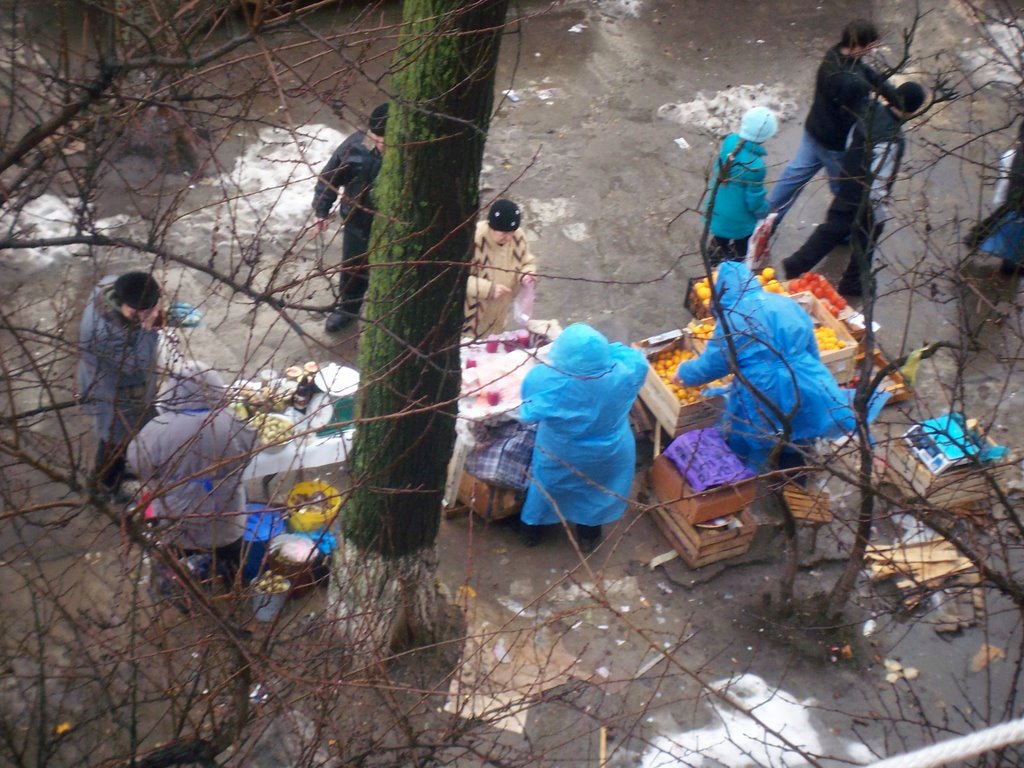 [100_2939-793408.JPG]