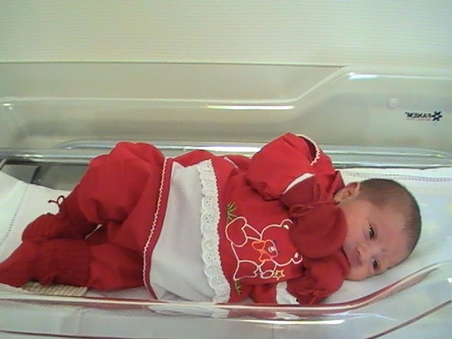 [PIC_0194.JPG]