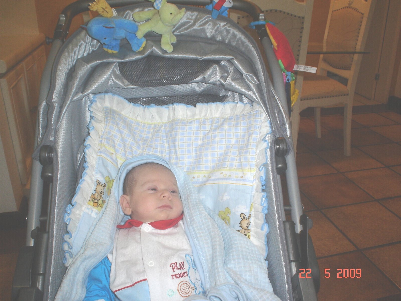 [DSC07998.JPG]
