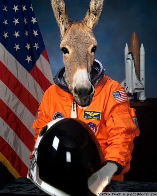space donkey