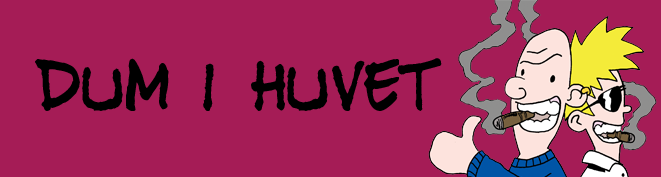 Dum i Huvet