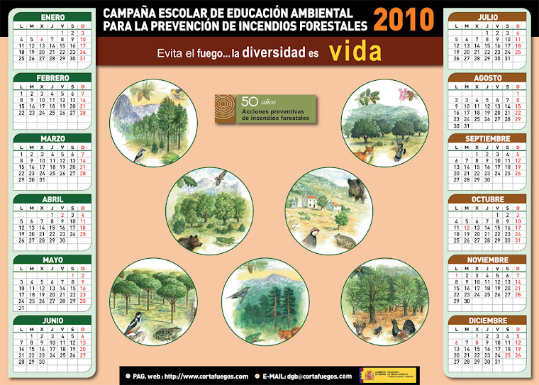 CALENDARIO 2010