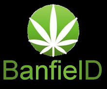 Banfield