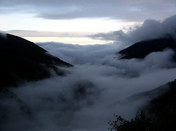 [cloud-forest-vilcabamba.jpg]
