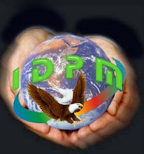 IDPM