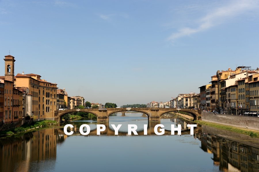 [DSC_2116.jpg]