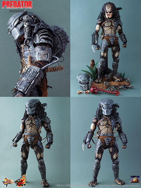 [predator2.jpg]