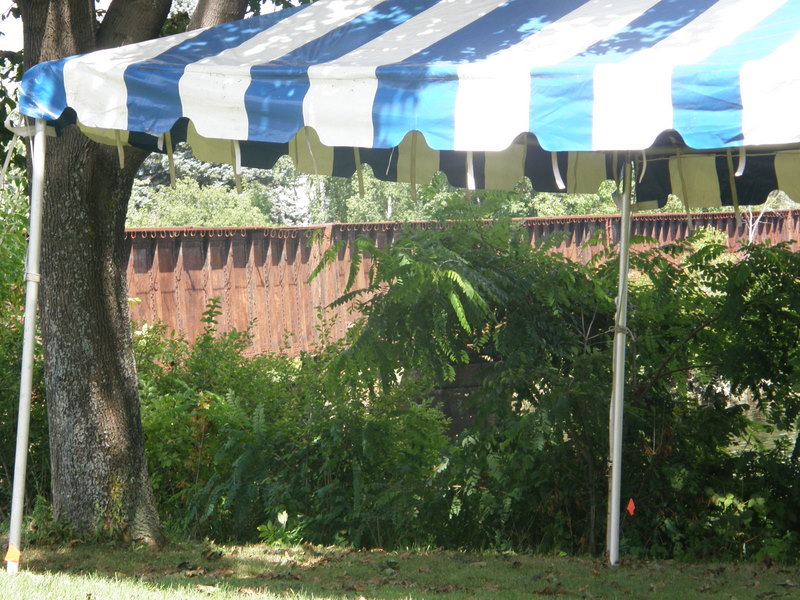 [P8251885.JPG]
