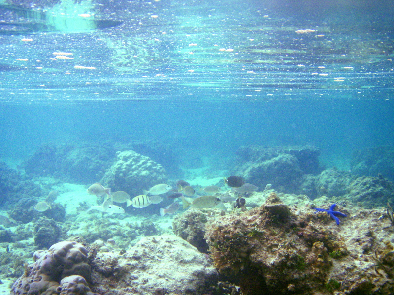 [P1070151.jpg]