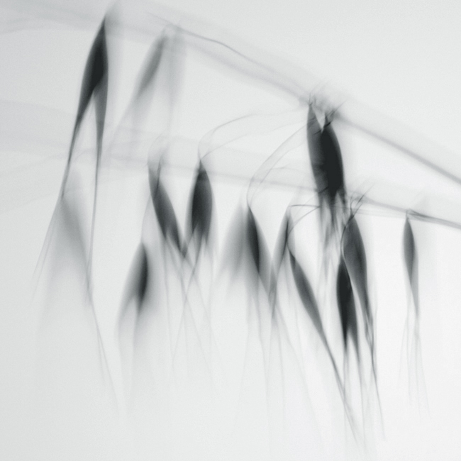 [ccf330450b032cab.jpg]