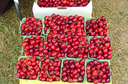 [farmers+market.cherries.jpg]