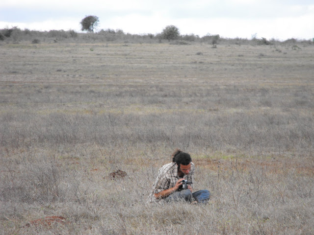 12 Novembre - Reporter sans frontiere