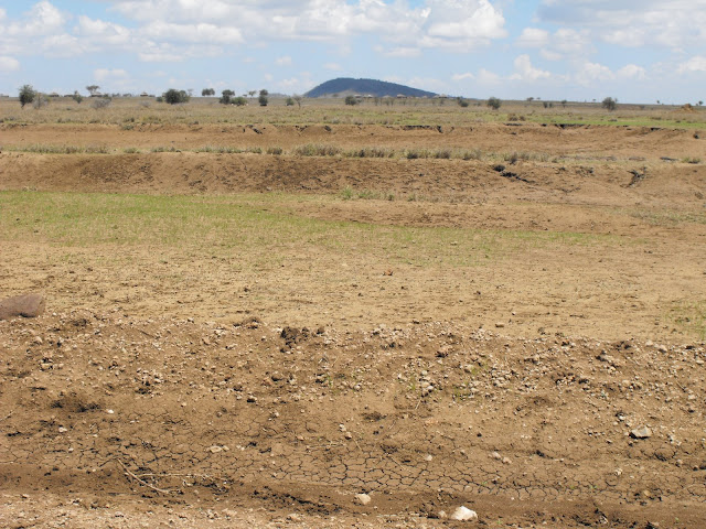 12 Novembre - Le surpaturage