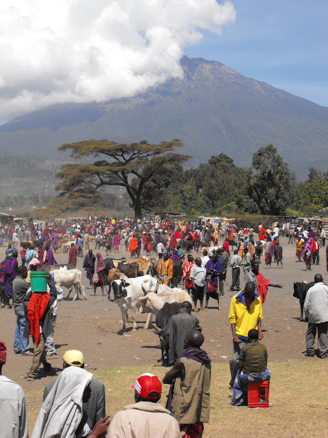 4 novembre - Marche bovin de Ngaramtoni