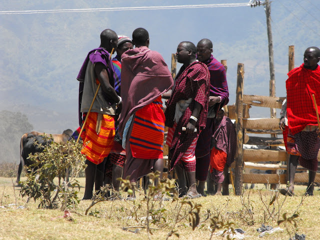 4 novembre - Les masai businessmen