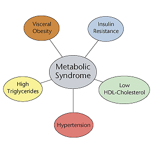 Metabolic Syndrome Children