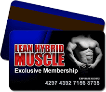 Muscle Building Courses