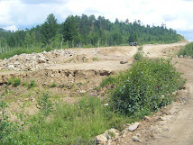 Amur Highway