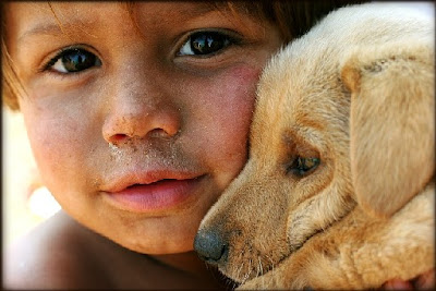 Сострадание К Животным / Animal Compassion: Учите Детей Быть Добрыми К  Животным / Teach Children To Be Kind To Animals