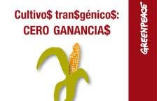 Cultivos transgénicos: cero ganancias