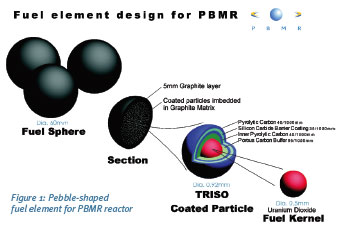 South Africa Ends Pebble Bed