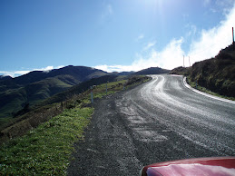 NZ Highway