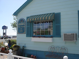 Drunken Monkey Knits Mackinac Island Vacation