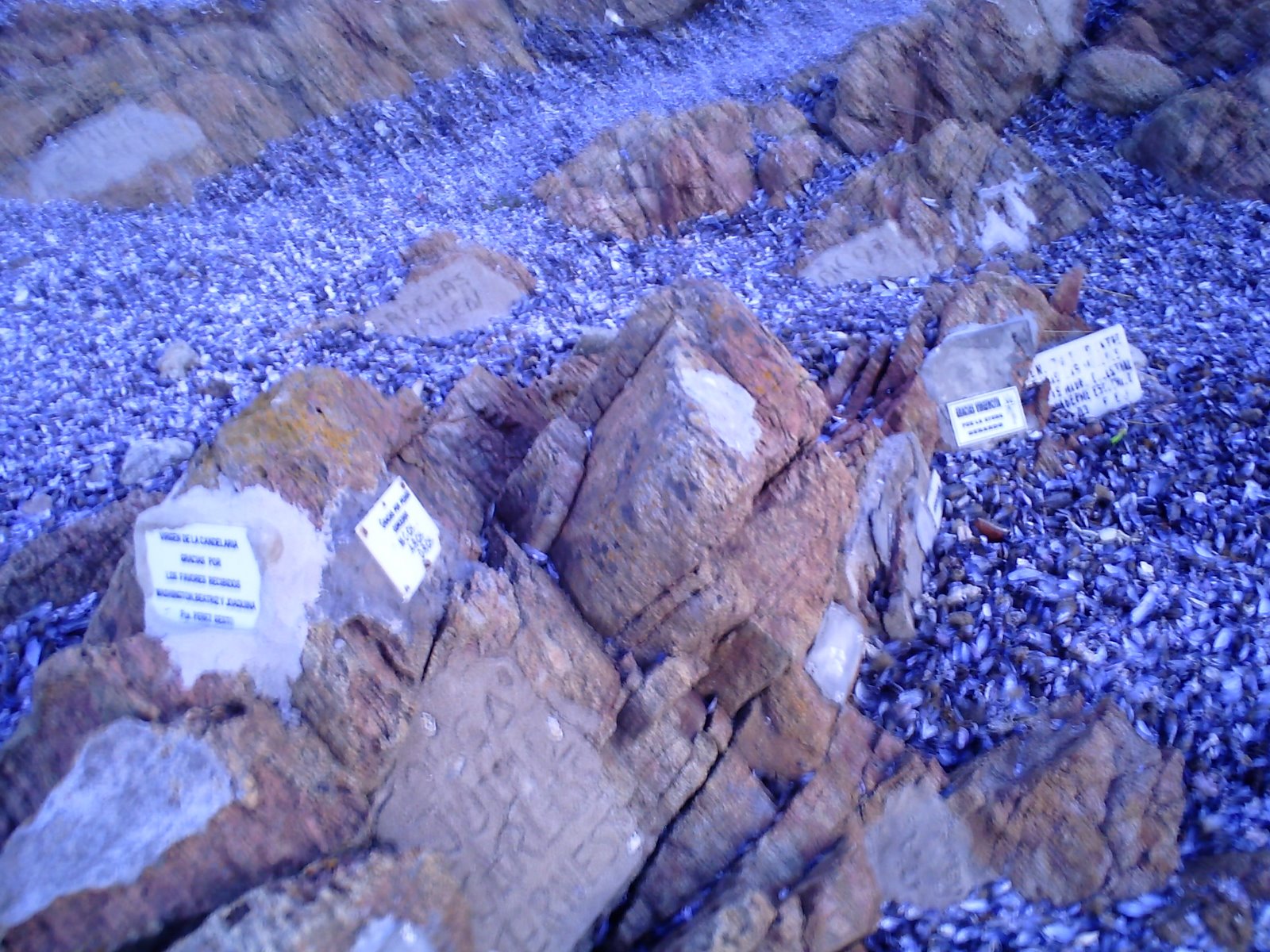 [PICT0033.JPG]