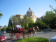 Por el Paseo de la Palmera