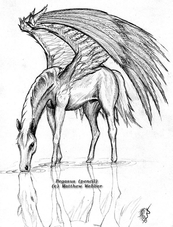 Pictures Of Pegasus