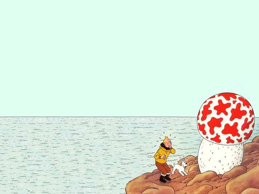 tintin-champignon.jpg