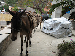 This burro was also being used to transport cement.