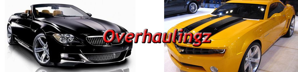 __»»Overhaulingz»»__