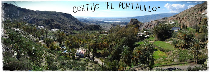 Cortijo el Puntalillo