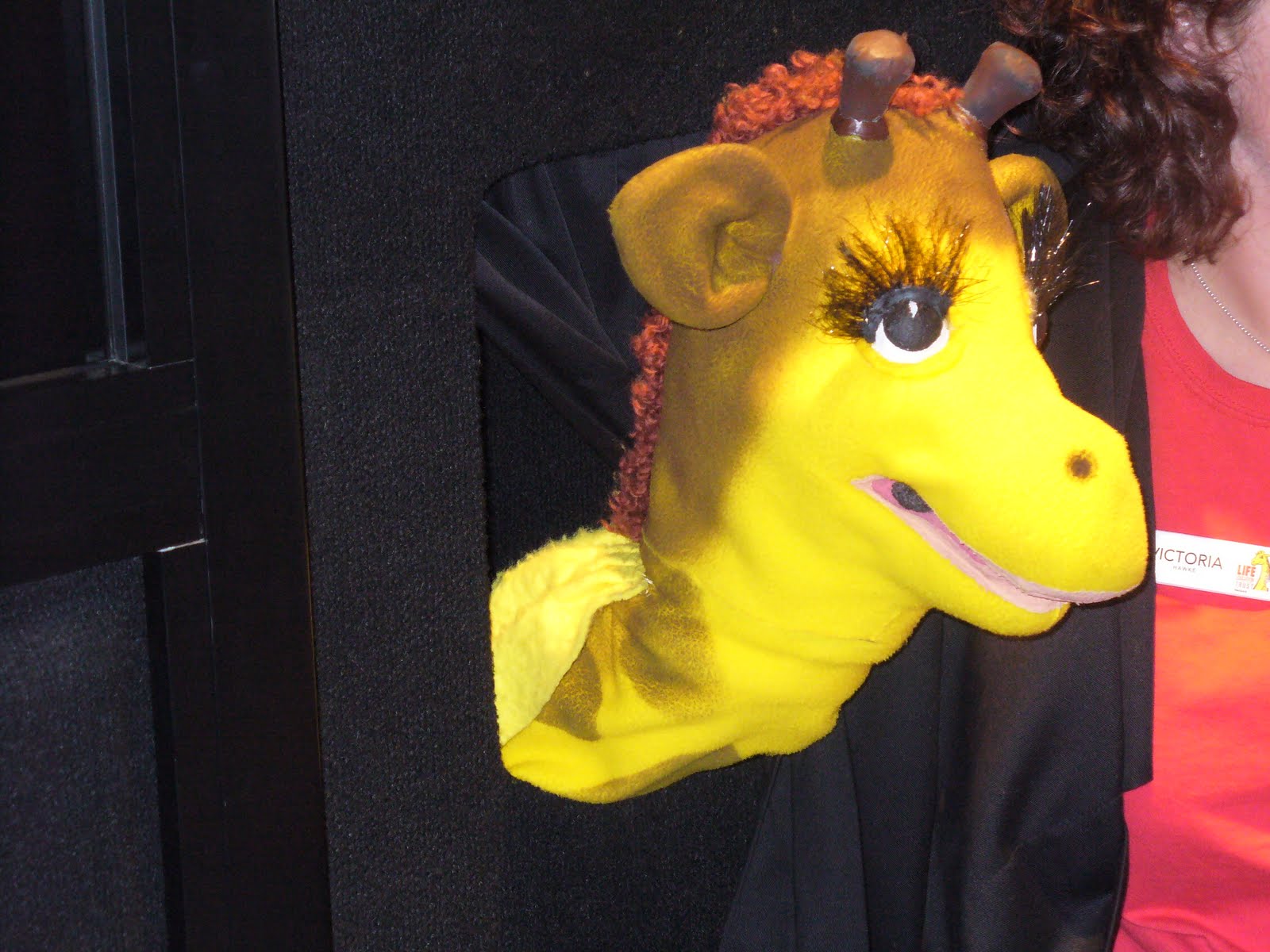 Room 6, Clifton Terrace School Life Education Bus