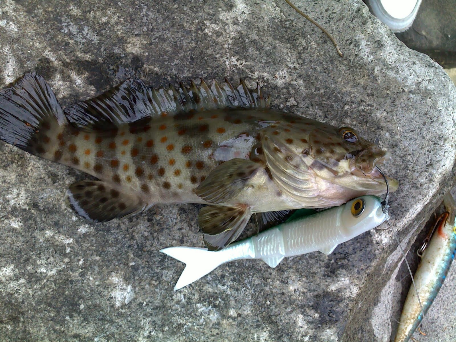 Lun Fishing: 2010