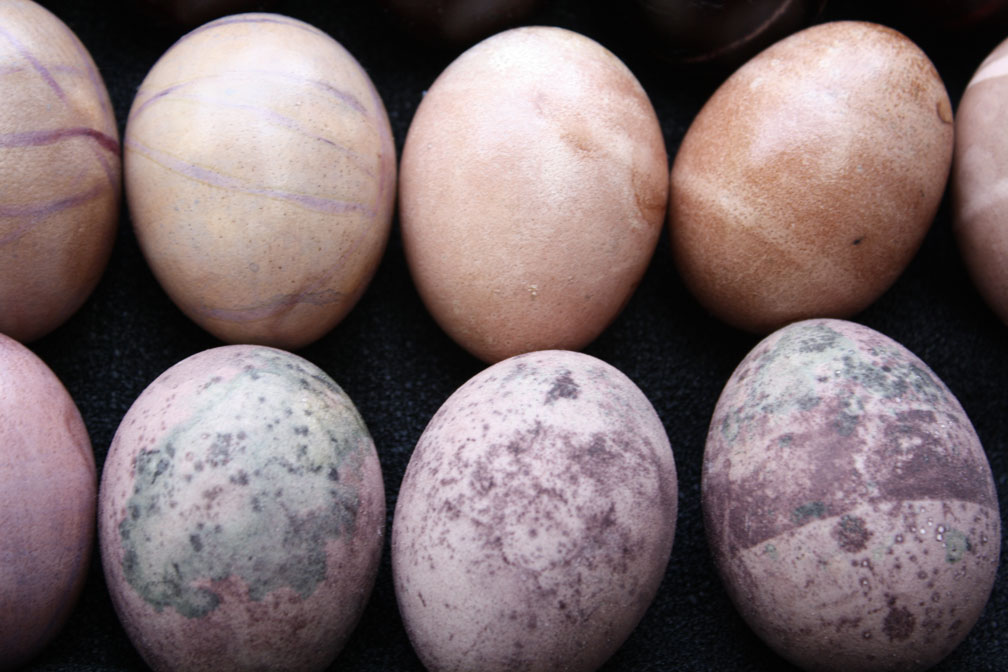 oklahoma tinctoria EGGSTONES